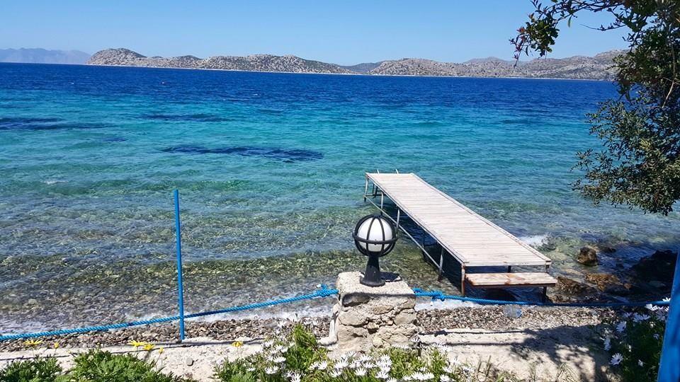 Mavi Akvaryum Pension Hotel Sogut  Exterior photo