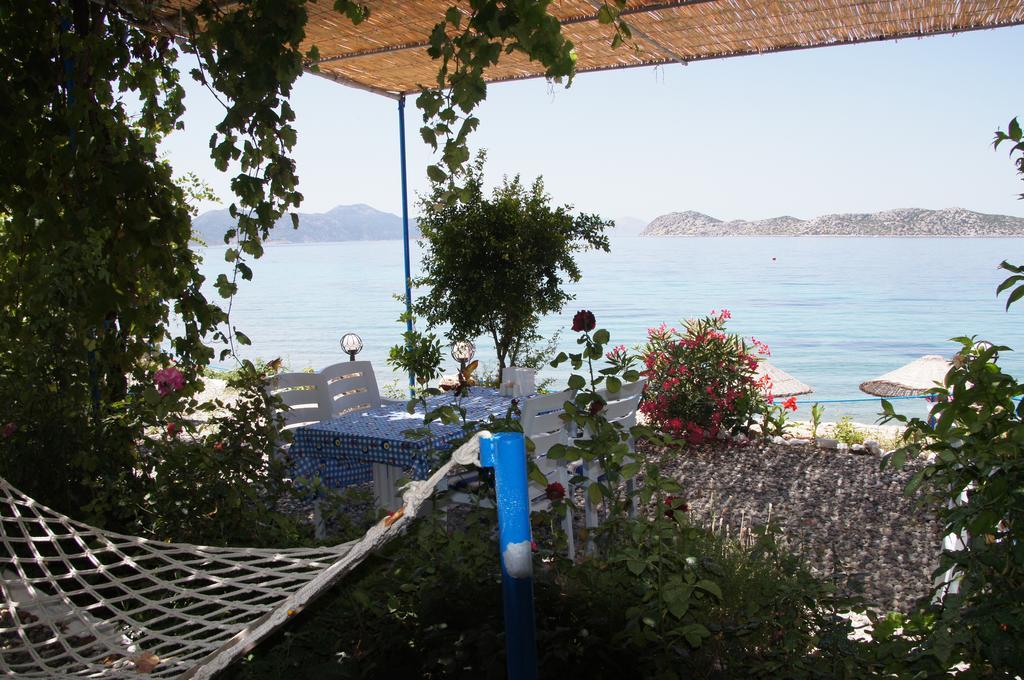 Mavi Akvaryum Pension Hotel Sogut  Exterior photo